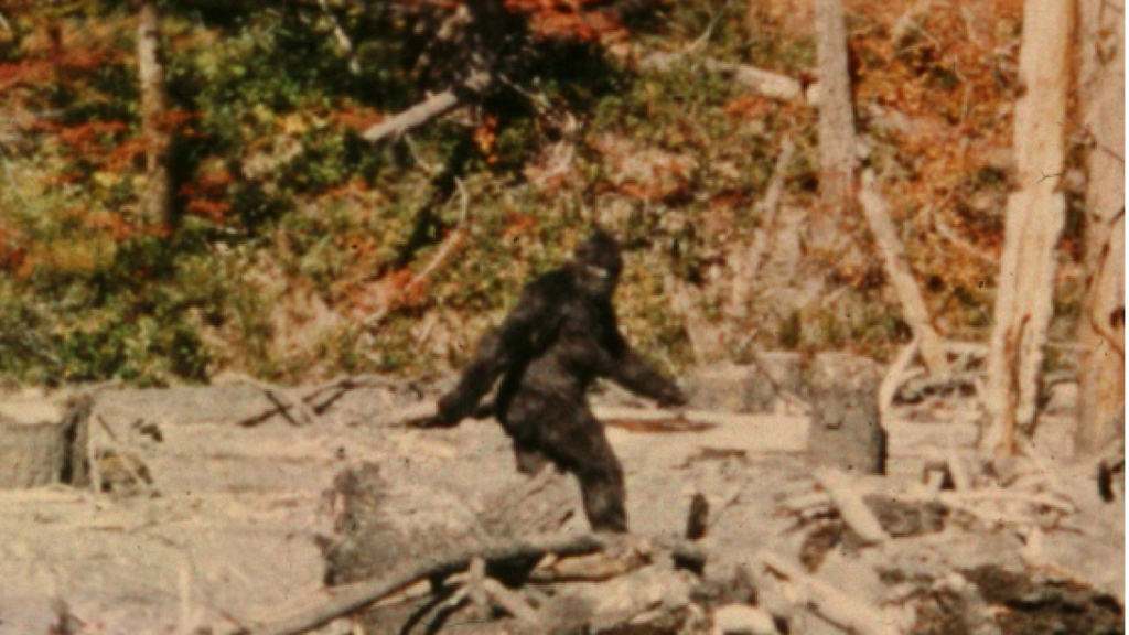Bigfoot