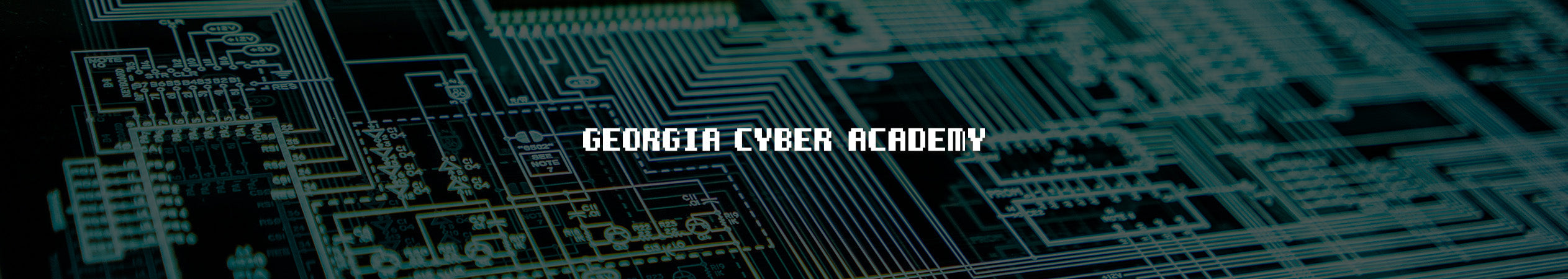 Georgia Cyber Academy