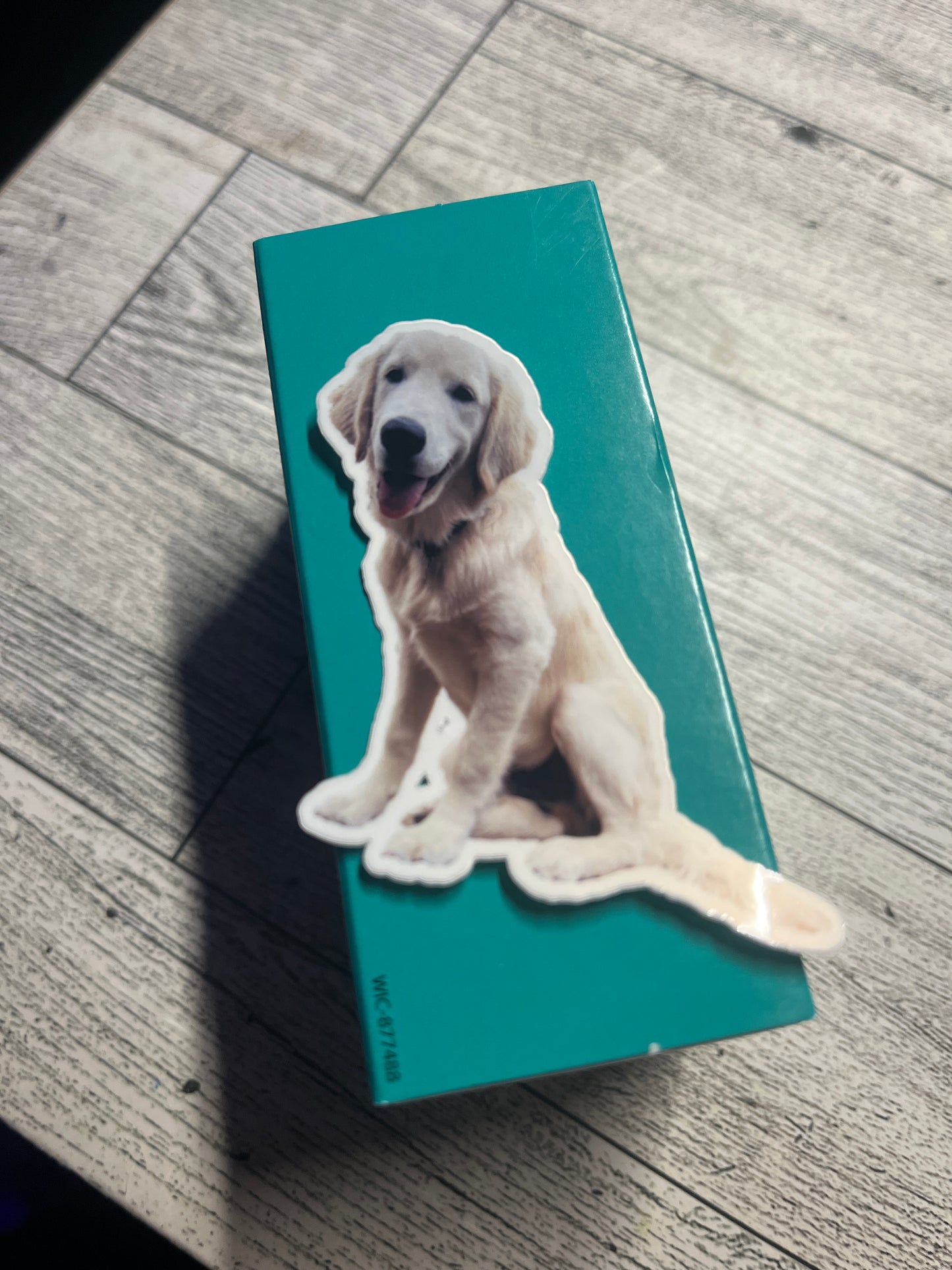 Custom Pet Photo Sticker