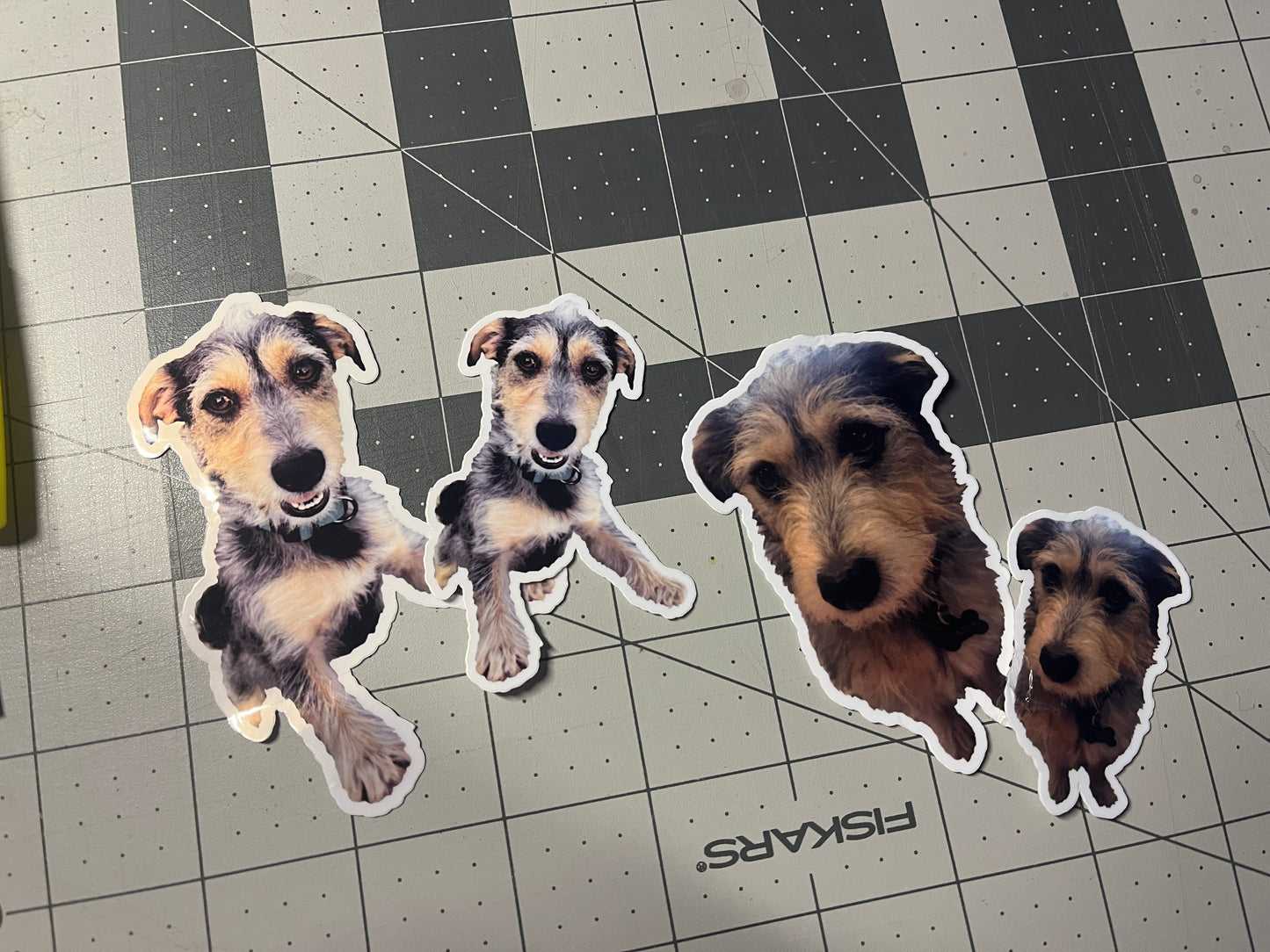 Custom Pet Photo Sticker