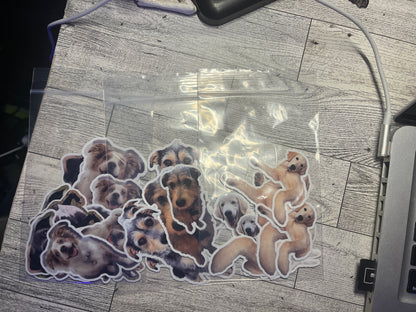 Custom Pet Photo Sticker