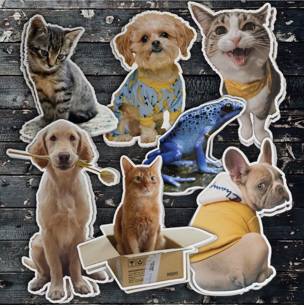 Custom Pet Photo Sticker