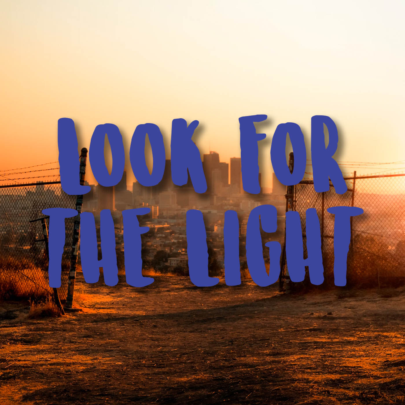 Last of Us - Look for the Light Vinyl Decal