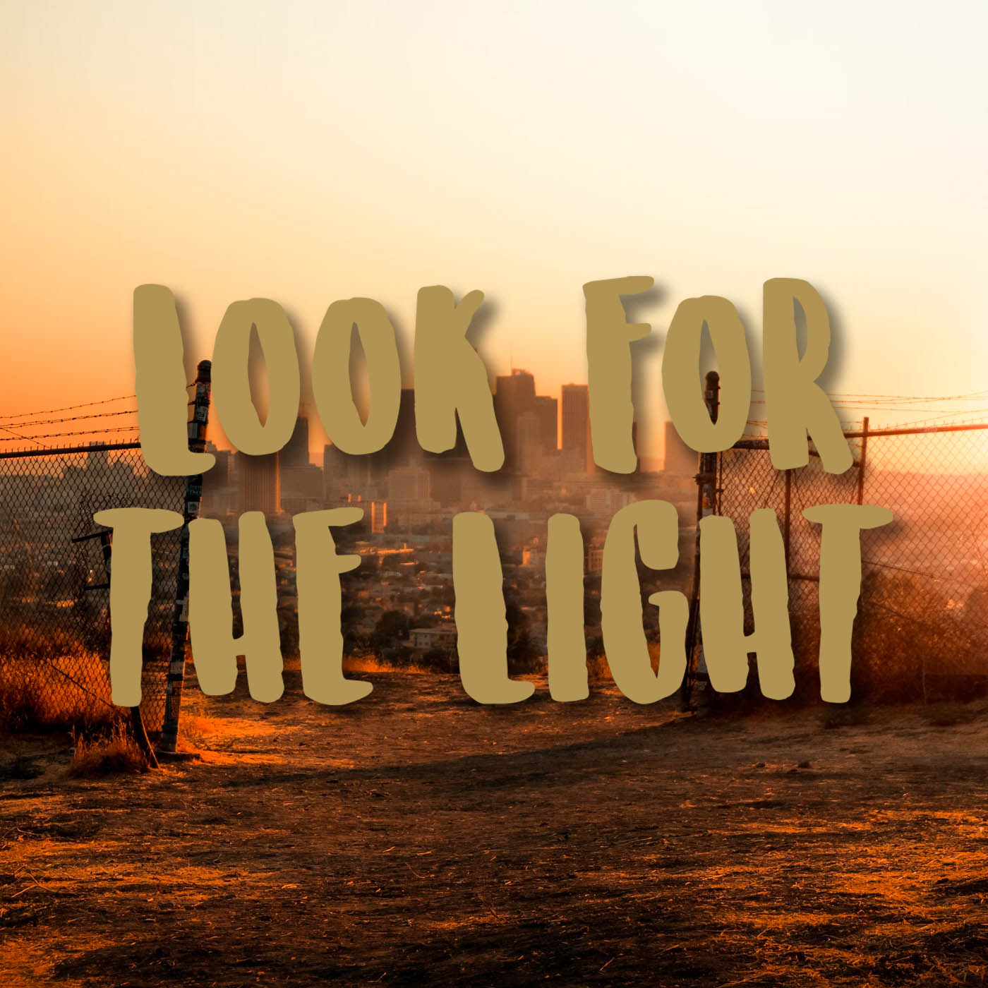 Last of Us - Look for the Light Vinyl Decal