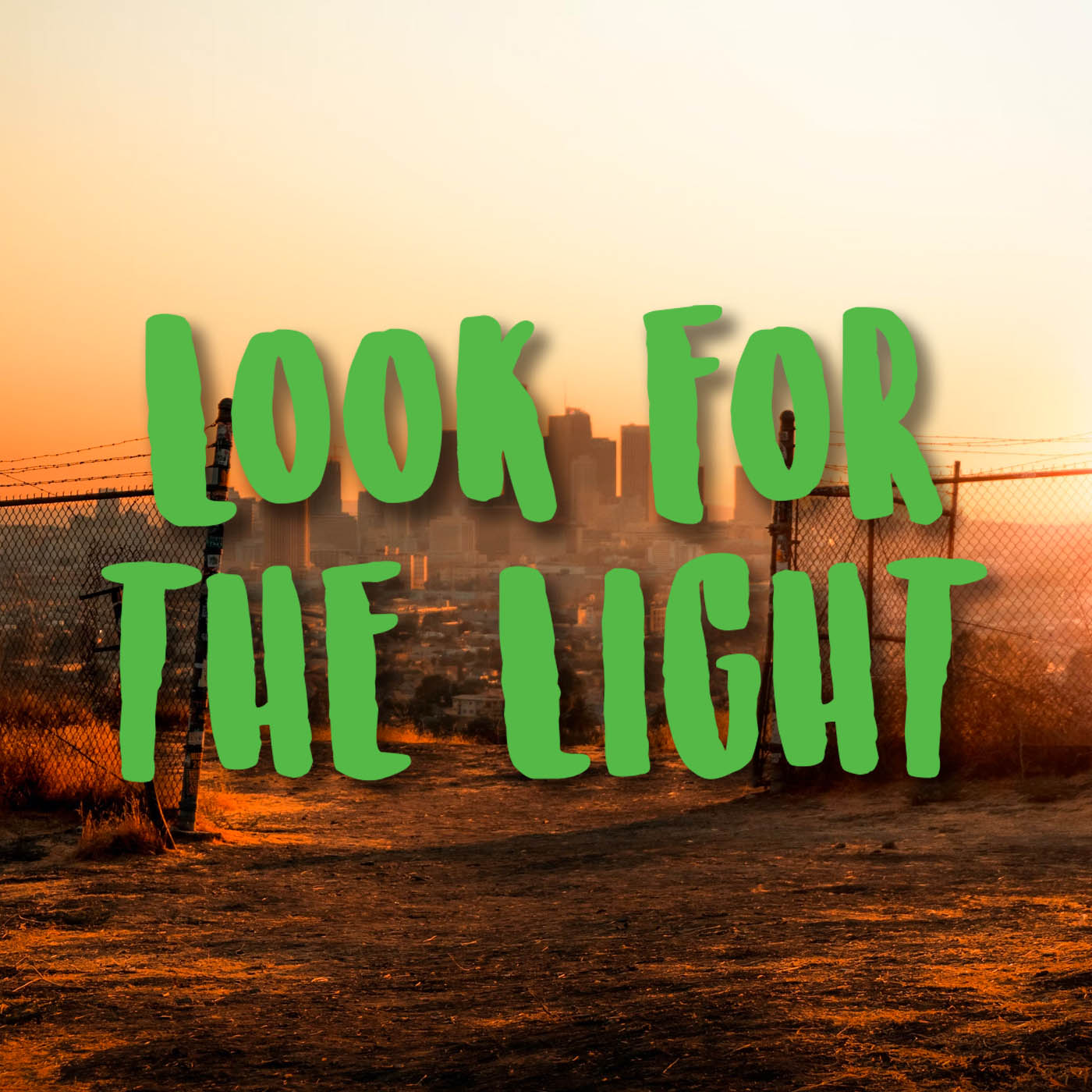 Last of Us - Look for the Light Vinyl Decal