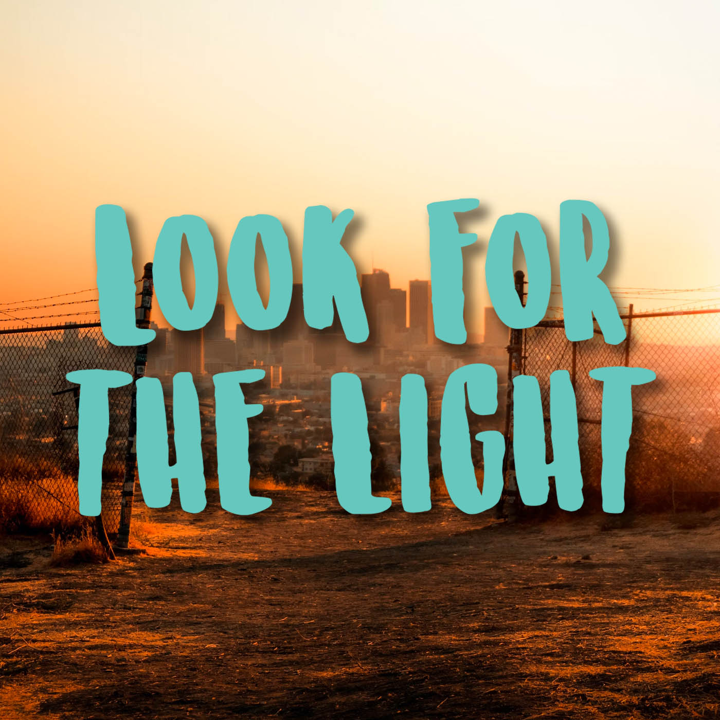 Last of Us - Look for the Light Vinyl Decal