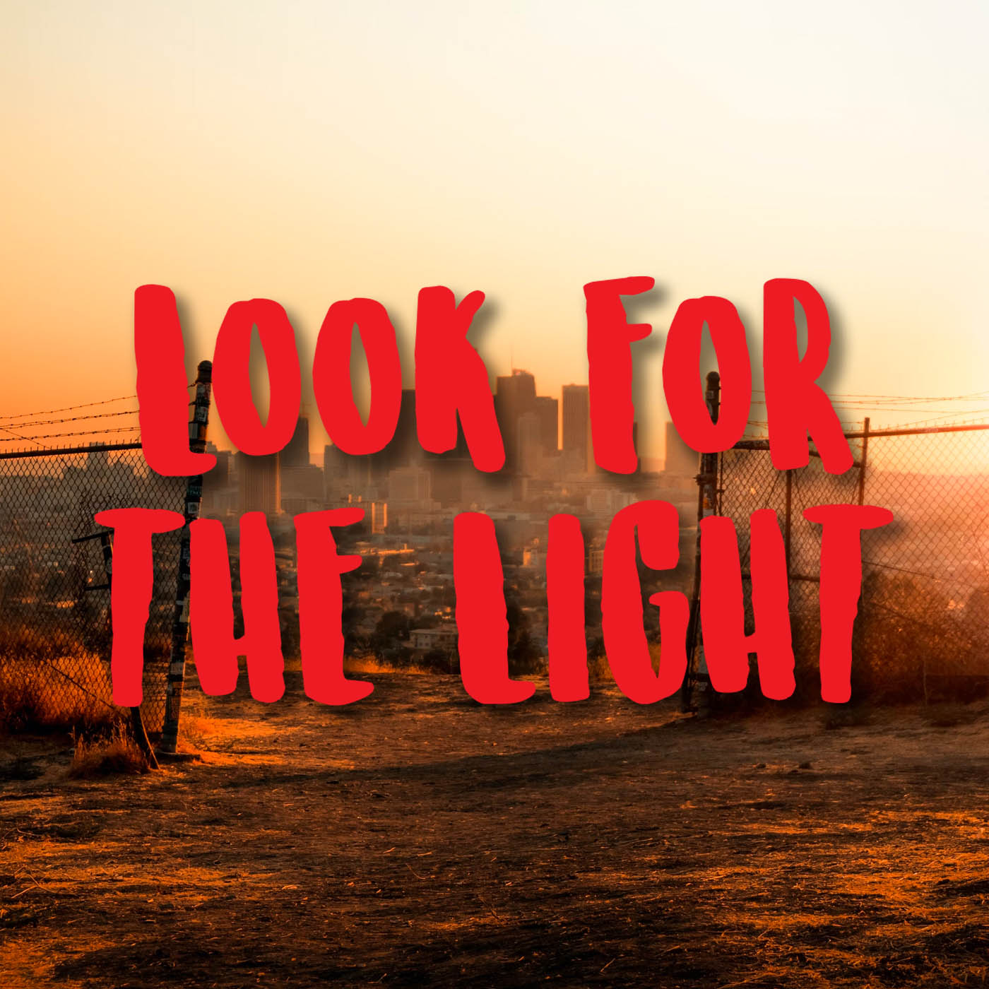 Last of Us - Look for the Light Vinyl Decal
